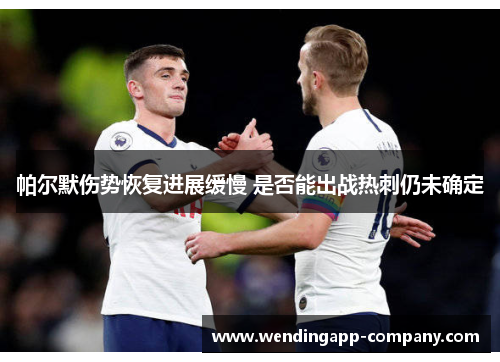 帕尔默伤势恢复进展缓慢 是否能出战热刺仍未确定