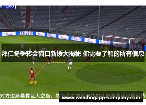 拜仁冬季转会窗口新援大揭秘 你需要了解的所有信息