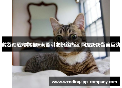戴资颖晒宠物猫咪萌照引发粉丝热议 网友纷纷留言互动