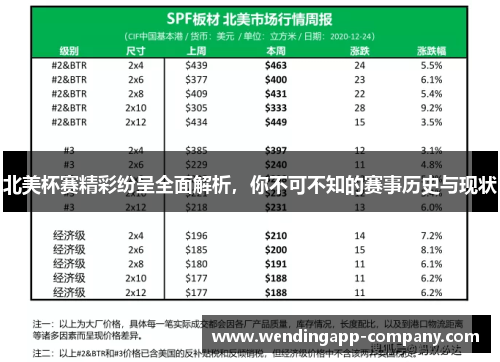 北美杯赛精彩纷呈全面解析，你不可不知的赛事历史与现状