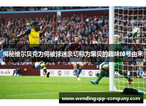 揭秘维尔贝克为何被球迷亲切称为黑贝的趣味绰号由来