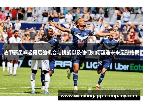 法甲新星崛起背后的机会与挑战以及他们如何塑造未来足球格局