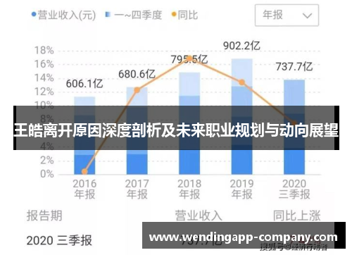 王皓离开原因深度剖析及未来职业规划与动向展望