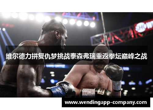 维尔德力拼复仇梦挑战泰森弗瑞重返拳坛巅峰之战