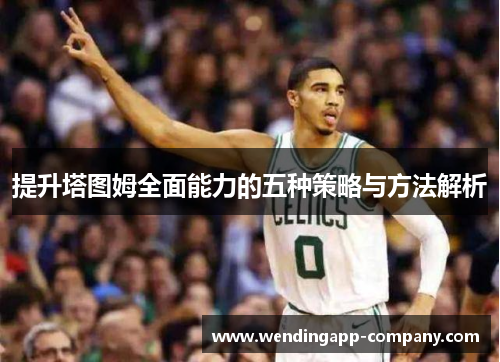 提升塔图姆全面能力的五种策略与方法解析