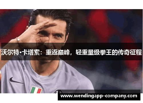 沃尔特·卡塔索：重返巅峰，轻重量级拳王的传奇征程