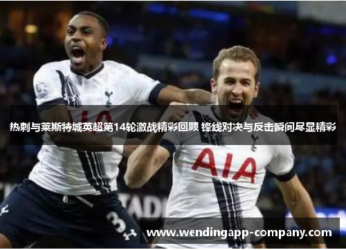 热刺与莱斯特城英超第14轮激战精彩回顾 锋线对决与反击瞬间尽显精彩