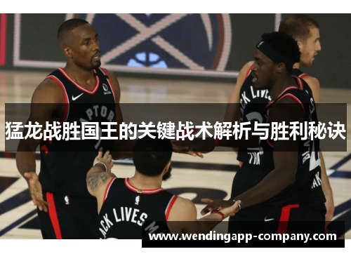 猛龙战胜国王的关键战术解析与胜利秘诀