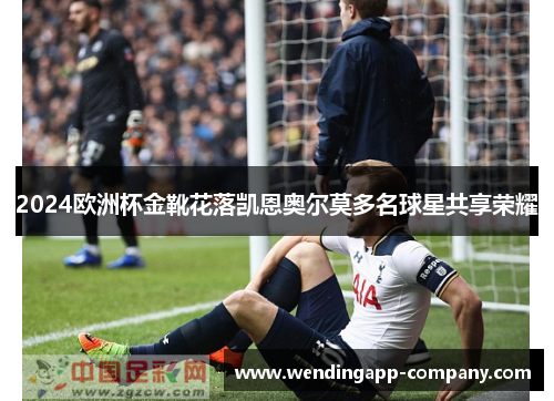 2024欧洲杯金靴花落凯恩奥尔莫多名球星共享荣耀