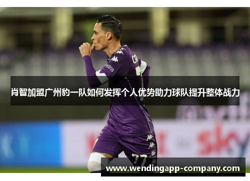 肖智加盟广州豹一队如何发挥个人优势助力球队提升整体战力